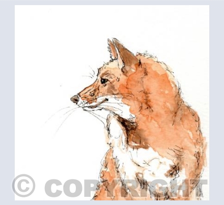 The Contented Fox