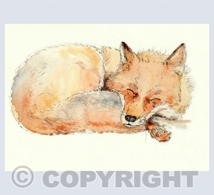The Contented Fox II