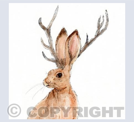 The Jackalope