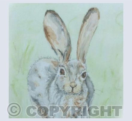 Born to Run (square)