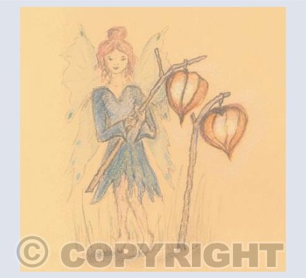 Fairy Lights