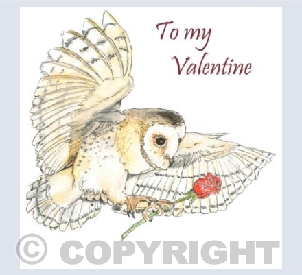 To my Valentine