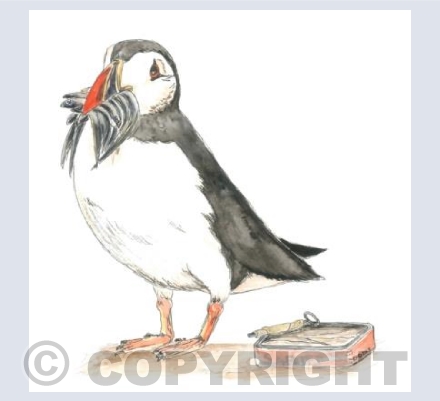The Hungry Puffin