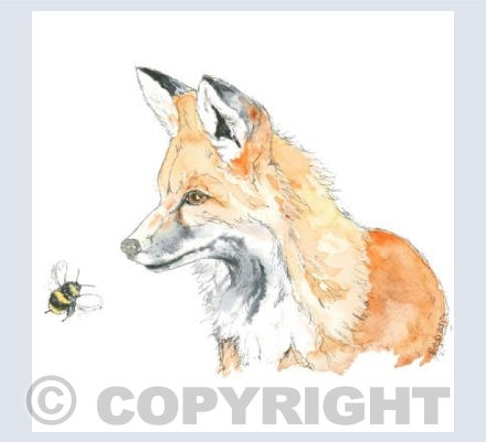 The Inquisitive Fox
