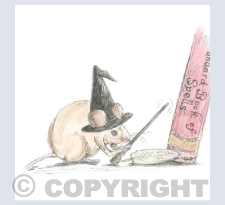 The Mouse Witch