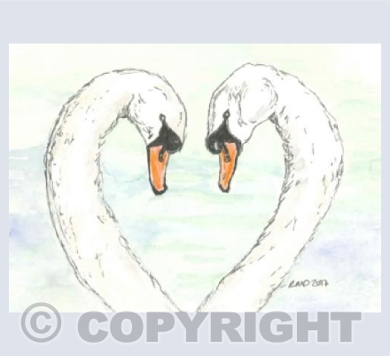 Love Birds