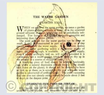 The Water Garden