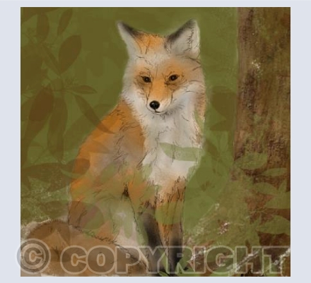 Fox in Autumn
