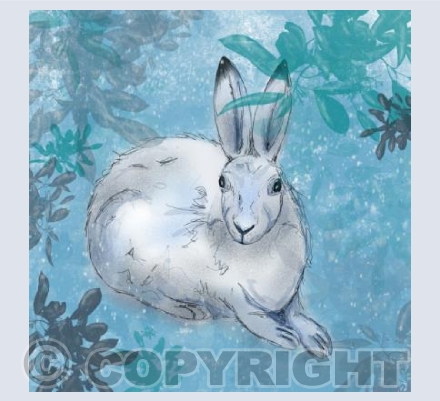 Arctic Hare in Winter