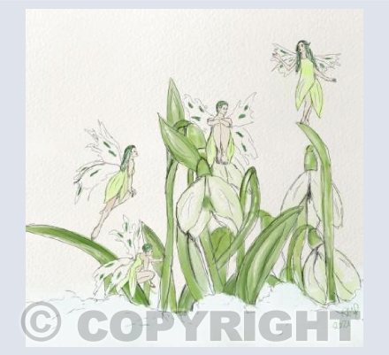 Snowdrop Fairies