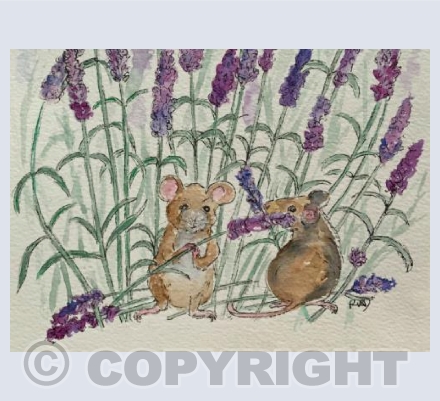 Mice in Lavender