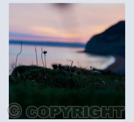 Lover's Cove At Sunset