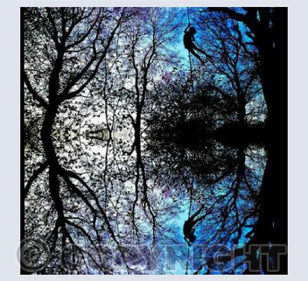 'Fairying' into the Woodland Blue