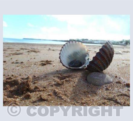 Can You Hear The Sea?