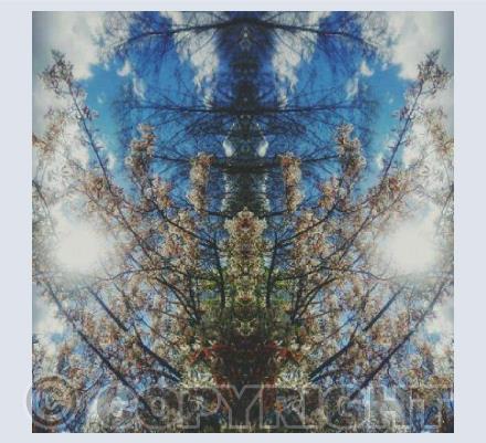 Look Into The Sun's Eyes