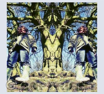 The Soul Of The Wishing Tree