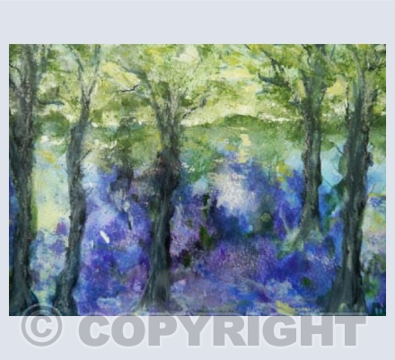 BLUEBELL WOOD