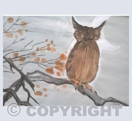 Crescent Moon Owl 
