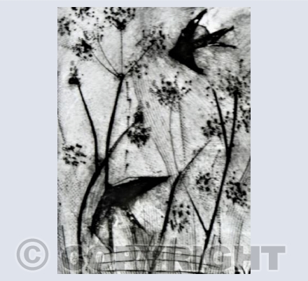 SWALLOWS IN THE MEADOW