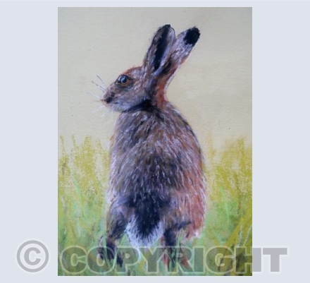 CROUCHING HARE
