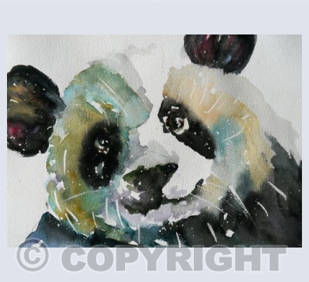 PANDA