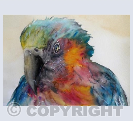 POLLY