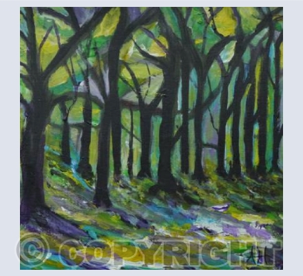 WOODLAND MAZE