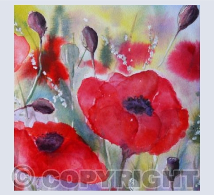 Poppies on Parade