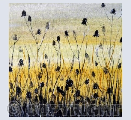 TEASELS