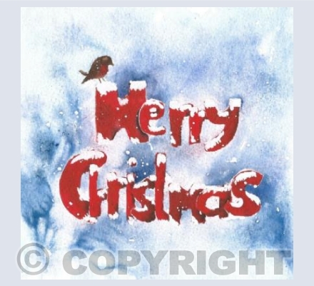 Merry Christmas Robin