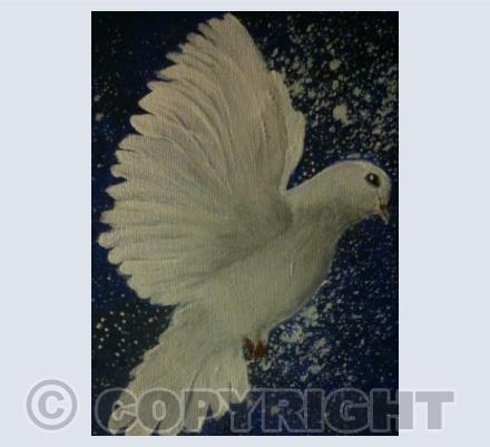 Messenger Of Peace