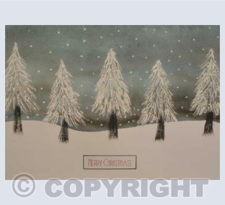 On a Cold Winter's Night