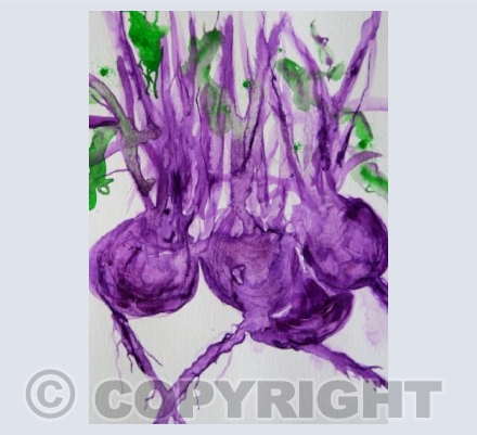 BEETROOT
