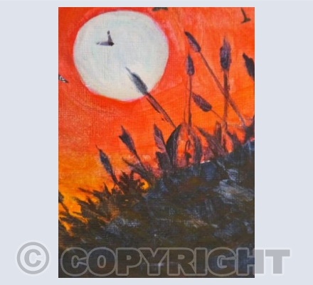 HARVEST MOON