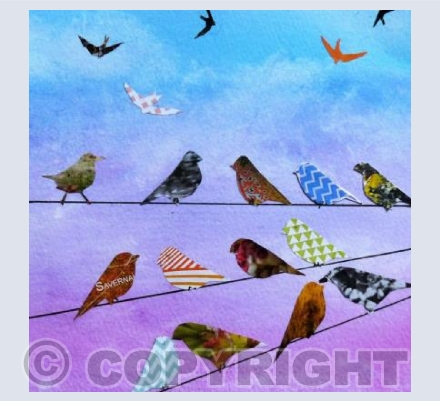 BIRD LINE