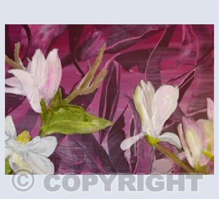 MAGNOLIAS