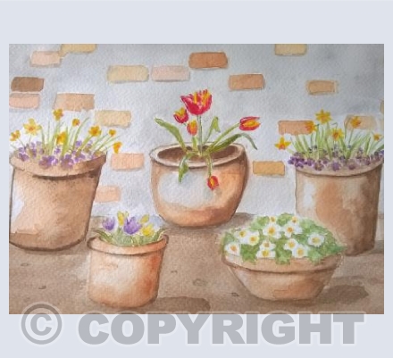 Spring Flowers