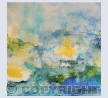 LILY POND