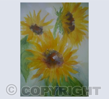 SUNFLOWERS