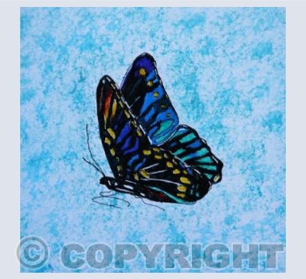 BUTTERFLY