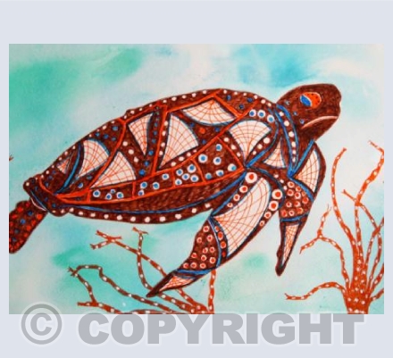 ABORIGINAL TURTLE