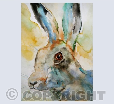 SPRING HARE