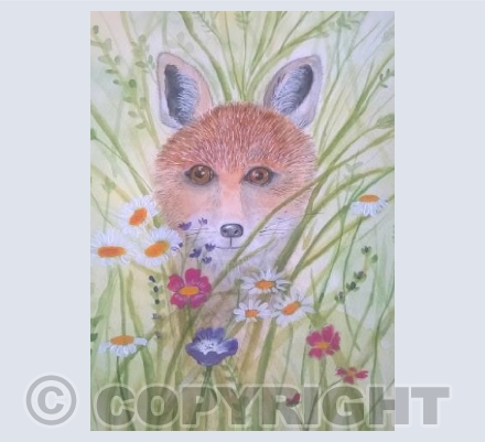 Hiding in the Meadow 