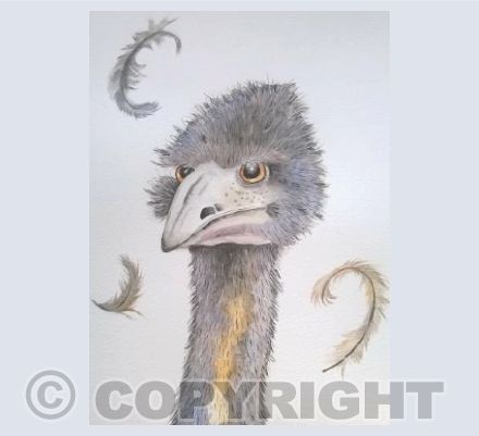 Emu 