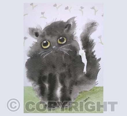 Little black cat 