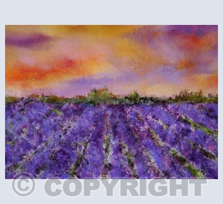 PROVENCE