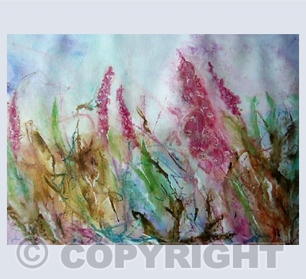 WILD FOXGLOVES