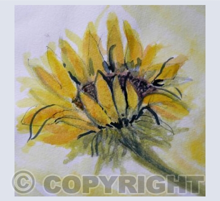 SUMMER SUNFLOWER