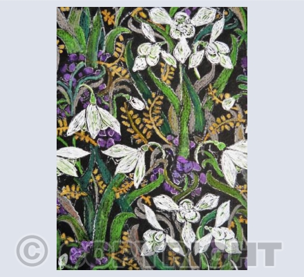 SNOWDROPS