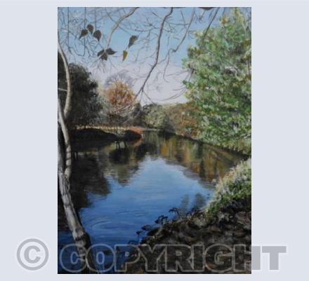 The river bank